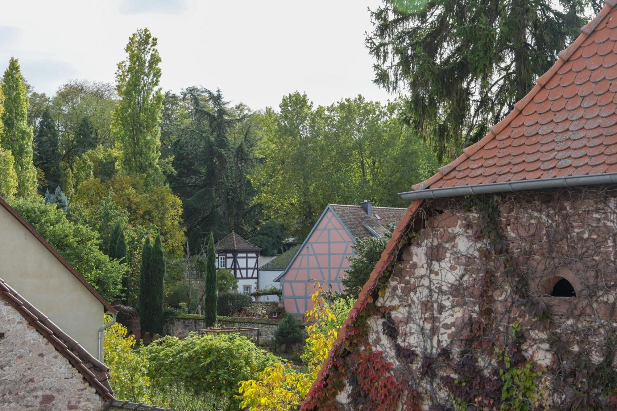 Boutique-Hotel Im Sternenhof Grosskarlbach Dış mekan fotoğraf